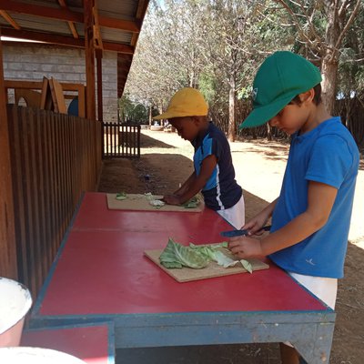 Chopping cabbage leaves 2.jpg