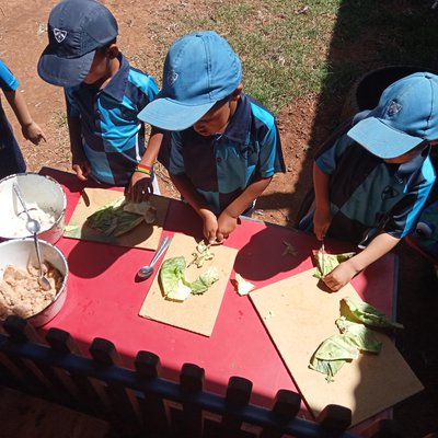 Copping cabbage leaves.jpg