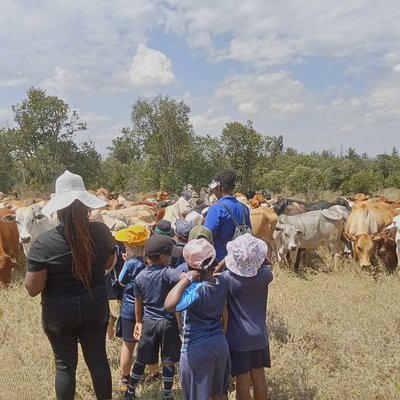 IMG20251006110236 (1).jpg