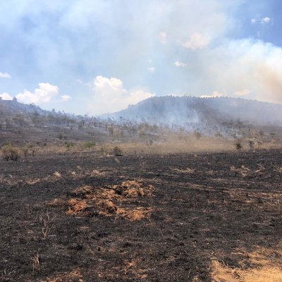 Lolldaiga Hills Charred by the fire.JPG