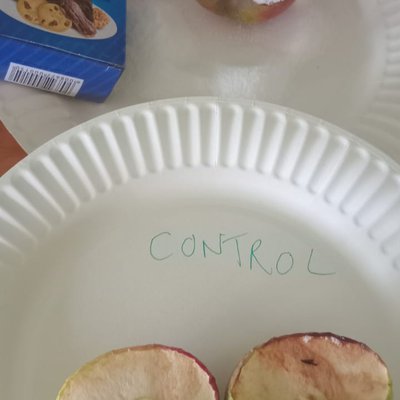 Mummification (1).jpg