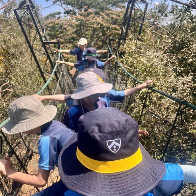 WhatsApp Image 2026-02-05 at 12.28.35 PM.jpeg