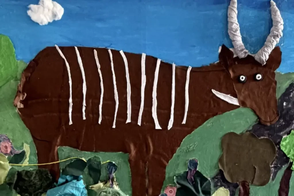 Artistry for Conservation